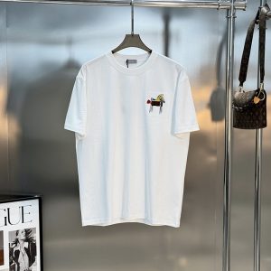 ディオールT シャツ 新作