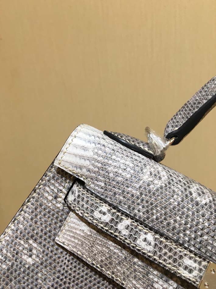 最高級エルメスケリーコピー HERMES ケリー25/外縫い オンブレ リザードナチュラ シルバー金具 hermes91015 ケリー25 人気色 - 画像 (8)