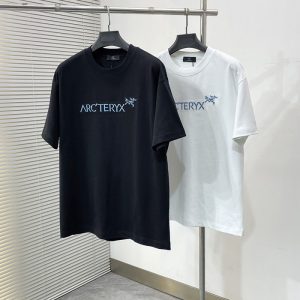 アークテリクス Tシャツ レディース