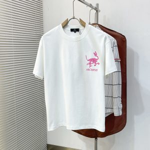 アークテリクス Tシャツ 白