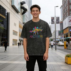 アークテリクス Tシャツ レディース